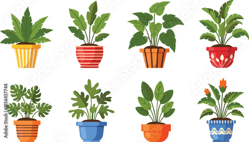 Colorful indoor houseplants in decorative pots vector illustration, potted green plants collection for home decor, gardening design, flat botanical artwork