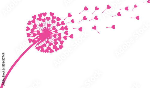 A vibrant pink dandelion flower dispersing its seeds on a white background