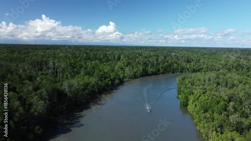 Amazing abundant mangrove forest river,Aerial view of forest trees Rainforest ecosystem and healthy environment background, Texture of green trees forest top down High angle view.