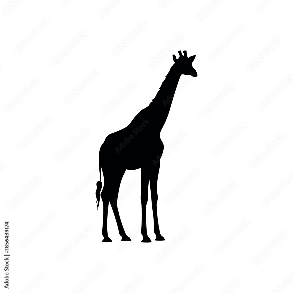 Fototapeta premium Giraffe silhouette illustration isolated on transparent background. Tall wildlife animal graphic perfect for safari, zoo, children, and nature themed designs.