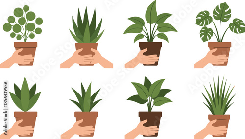 Hands holding potted plants illustration set featuring indoor houseplants, gardening care, greenery, and eco friendly lifestyle concepts