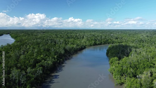 Aerial view of a river and mangrove forest on Papua Island, Indonesia. A beautiful tropical rainforest landscape. Lush green trees.