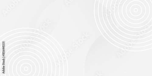 White geometric abstract background overlap layer on bright space with lines effect decoration. Modern graphic design element circles style concept for banner.