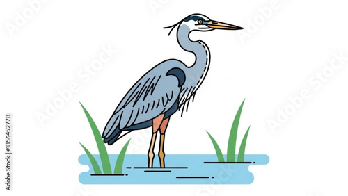 A large blue heron standing in shallow water with green reeds, elegant bird in natural habitat, serene wetland scene with a majestic wading bird