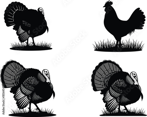Set of turkey and rooster silhouettes with detailed feather patterns, farm bird illustrations on grass, perfect for agriculture, wildlife and design projects