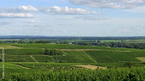 Wallpaper Mural Expansive green vineyards stretch across rolling hills under a blue sky with scattered clouds in Pouilly sur Loire, France. The scene captures the beauty of the French wine country in summer. Torontodigital.ca
