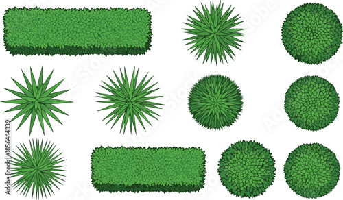 Garden hedge and bush top view set, green shrubs and plants, landscape design elements, park foliage shapes, vector illustration