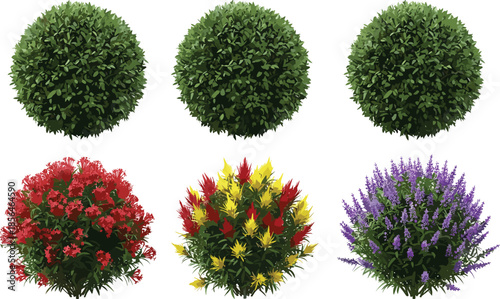 Garden shrub plants illustration set, green bushes and colorful flowering shrubs, landscaping elements, realistic decorative outdoor vector collection