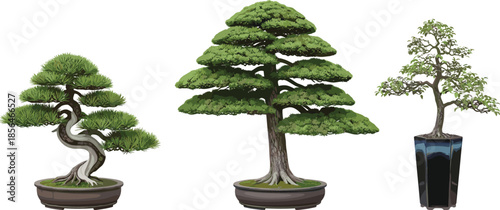 Bonsai tree illustration set, traditional Japanese miniature trees in pots, zen garden plants, detailed natural foliage artwork