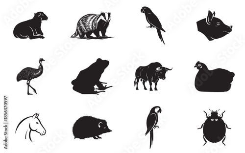 Collection of animal silhouettes isolated on transparent background