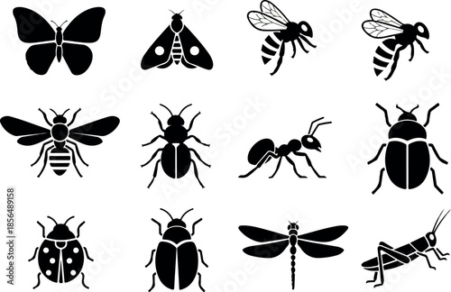 Variety of Insects Black Silhouette Icons