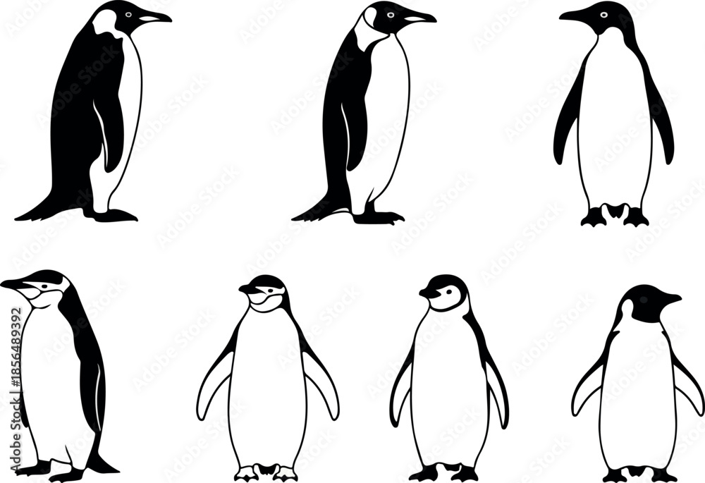 Obraz premium Collection of minimalist penguin vector graphics, penguins in various poses and designs