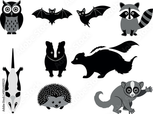 Variety of animals silhouettes owl, bat, raccoon, opossum, badger, skunk, hedgehog, lemur