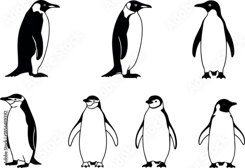 Collection of minimalist penguin vector graphics, penguins in various poses and designs
