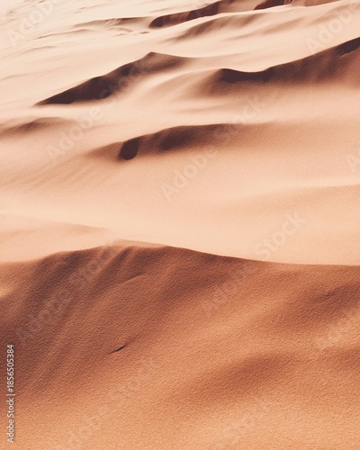 Wavy desert sand dunes with warm orange and light brown tones, showcasing natural textures and abstract patterns created by wind and light, a serene arid landscape photo.