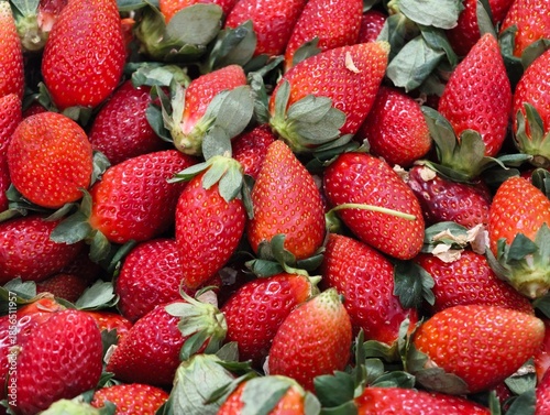 Fresh organic strawberries, Pattern of freshly picked strawberries.