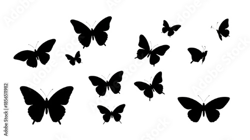 A beautiful collection of butterfly silhouettes and vector insects in a black nature design set for spring art and summer pattern decoration