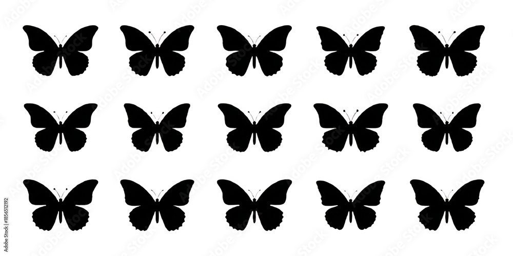 Obraz premium black and white butterflies silhouettes