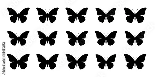 black and white butterflies silhouettes