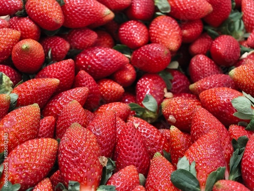 Fresh organic strawberries, Pattern of freshly picked strawberries.