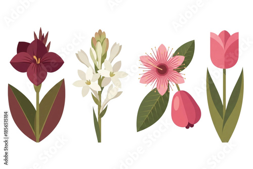 Obraz na płótnie Tropical Botanical Flower Set: Canna Lily, Tuberose, Water Apple Bloom, and Tulip