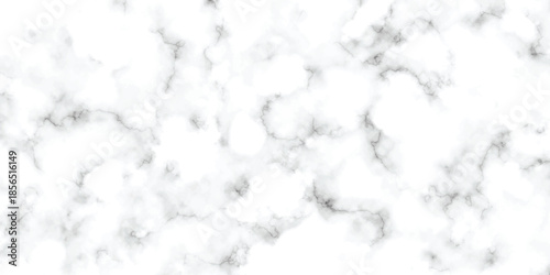 abstract interior beautiful black and white Carrara slab interior tiles gradient luxury ceramic wall and floor kitchen texture background