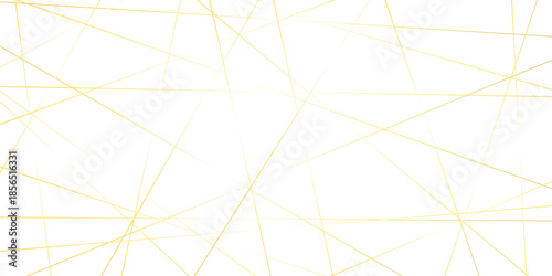 Abstract randomly gradient vector white striped line pattern shape art wallpaper. modern seamless fabric striped minimal smooth futuristic diagonal thin vintage background.