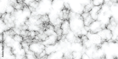 abstract interior beautiful black and white Carrara slab interior tiles gradient luxury ceramic wall and floor kitchen texture background