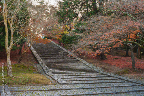 猫段 ・早朝 2025年12月7日撮影（奈良市東大寺）