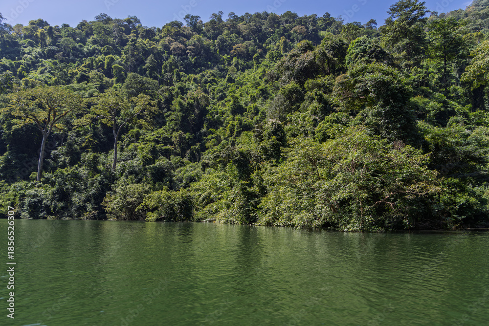 Obraz premium Lush jungle canopy overlooking calm river in khao yai, thailand