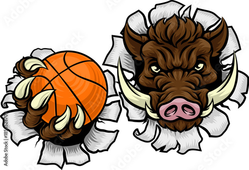A wild boar, hog razorback ...