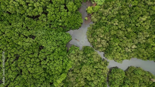 Natural mangrove ecosystem captured from above, showing rich green foliage, muddy estuarine channels and abandoned fishing boat wreck resting within protected coastal wetlands and tidal forest habitat