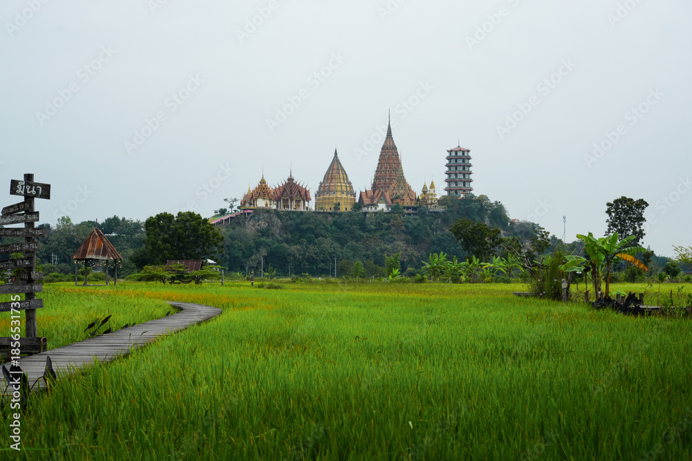 Obraz premium Kanchanaburi, Thailand, December 5, 2025 : View of green field and Tiger cave temple from Meena cafe.