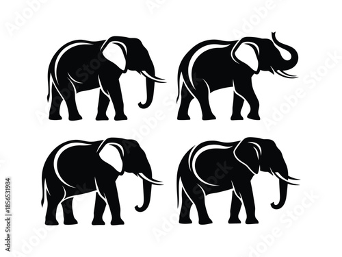 Black silhouette illustrations of four elephants in different poses