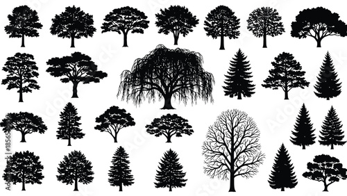 Collection of diverse tree silhouettes including deciduous and evergreen types