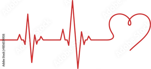 Simple red line graphic illustrates a healthy human heart rhythm tracing transforming into a stylized heart shape on a clean white background