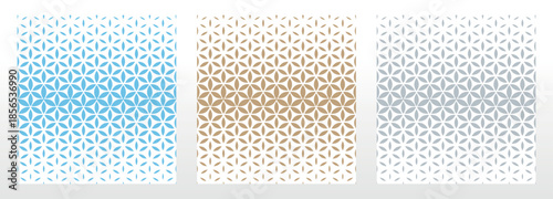 Collection of flower geometric patterns. Seamless vector backgrounds. Colored ornaments. Ornament for fabric, wallpaper, packaging. Decorative prints