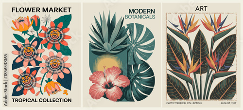 A modern botanical triptych featuring passion flower, hibiscus, and strelitzia in a vintage mid-century modern style with bold tropical colors and clean geometry.