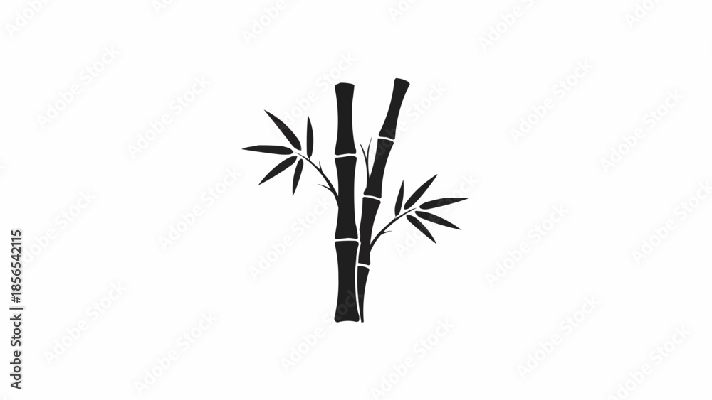 Fototapeta premium bamboo isolated on white