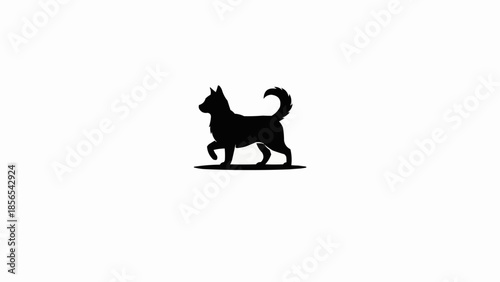 black cat silhouette