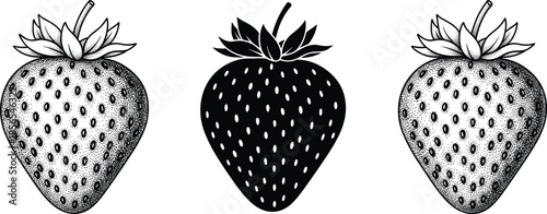 Strawberry illustration set with stippled, line-art, and silhouette styles for food, botanical, and artistic design themes.