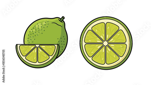 Illustrative depiction of a whole lime a slice and a half lime segment