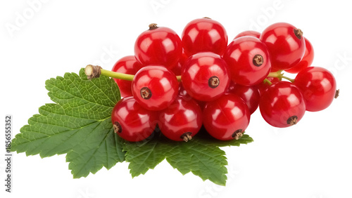 Photography Isolated bunch of shiny red currant berries and green leaves, fresh ingredient c