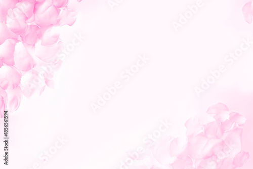 Fresh pink rose petals on white background. Space for text. Soft pink background made of rose flower petals.