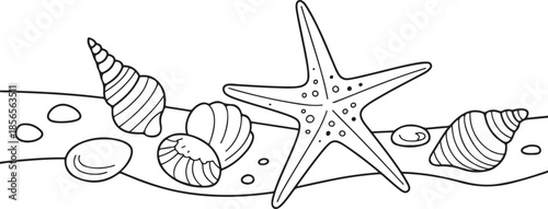 seashells starfish and pebbles on sandy seabed line art illustration