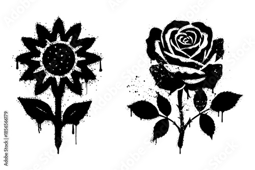 Spray painted graffiti flower sunflower and rose floral urban street art