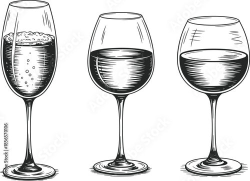 Black and white wine glass illustration set with champagne flute and red wine glasses, vintage sketch artwork for bar, restaurant, and design projects
