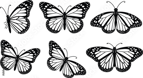  butterfly illustrations with unique wing patterns, symmetrical designs, detailed insect art for entomology, decoration, education, and creative design projects