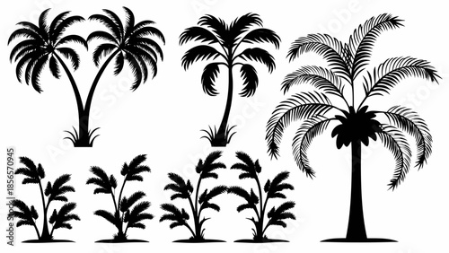 Collection of various palm tree silhouettes on white background