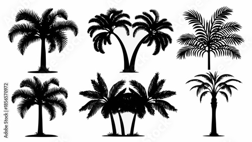 Collection of six black palm tree silhouettes on white background